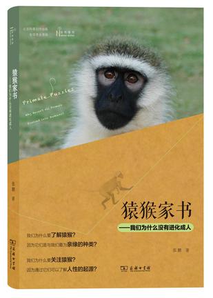 猿猴家书