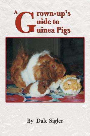 A Grown-up's Guide to Guinea Pigs