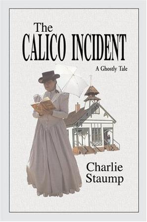 The Calico Incident