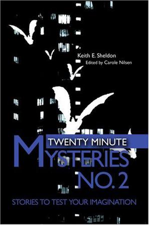Twenty Minute Mysteries No. 2
