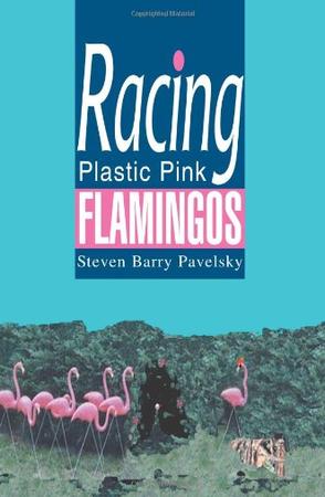 Racing Plastic Pink Flamingos