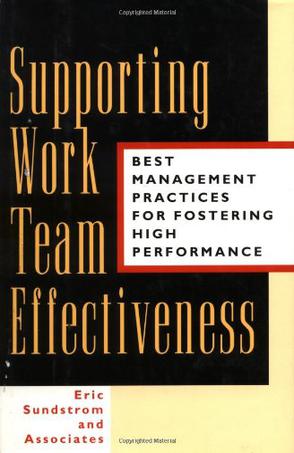 Supporting Work Team Effectiveness