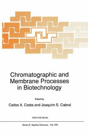 Chromatographic and Membrane Processes in Biotechnology 1990