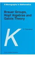 Brauer Groups, Hopf Algebras and Galois Theory