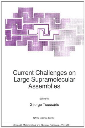 Current Challenges on Large Supramolecular Assemblies
