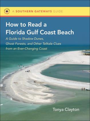 How to Read a Florida Gulf Beach