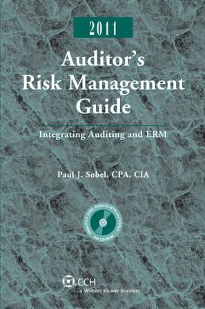 Auditor's Risk Management Guide