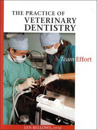 The Practice Veterinary Dentistry