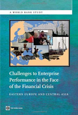 Challenges to Enterprise Performance in the Face of the Financial Crisis