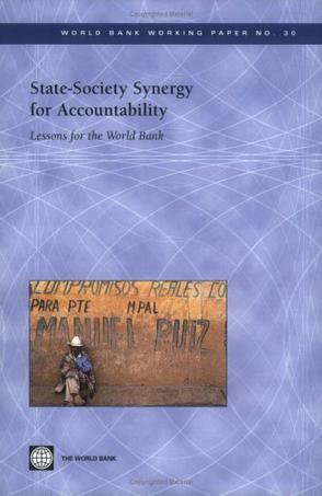 State-Society Synergy for Accountability