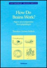 How Do Brains Work?