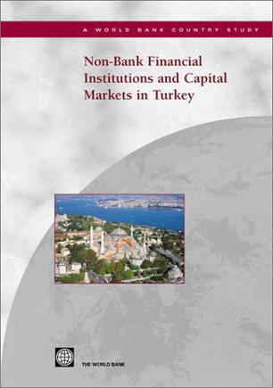 Non-bank Financial Institutions and Capital Markets in Turkey