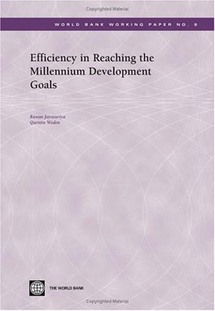 Efficiency in Reaching the Millennium Development Goals