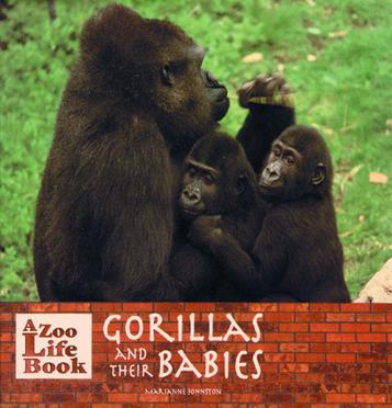 Mother Gorillas and Their Babies