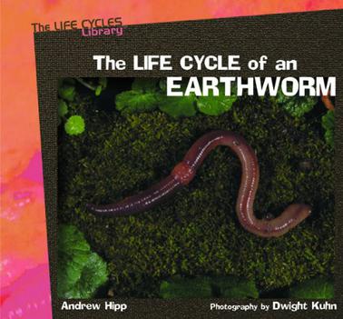 The Life Cycles of an Earthworm
