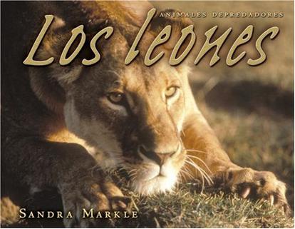 Los Leones = Lions