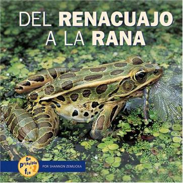 del Renacuajo a la Rana = From Tadpole to Frog