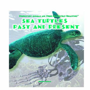 Sea Turtles Past and Present