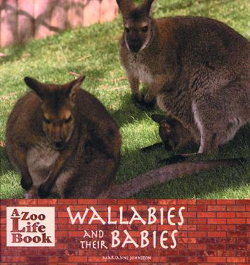 Wallabies and Their Babies