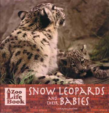 Snow Leopards and Their Babies