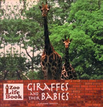 Giraffes and Their Babies