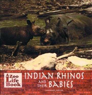 Indian Rhinos and Their Babies