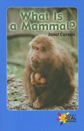 What Is a Mammal?