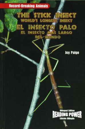 The Stick Insect/El Insecto Palo