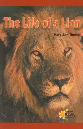 The Life of a Lion