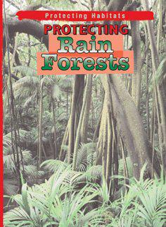 Protecting Rain Forests