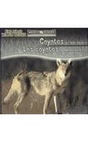 Coyotes Are Night Animals/Los Coyotes Son Animales Nocturnos