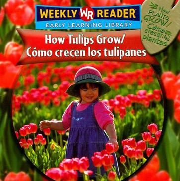 How Tulips Grow/Como Crecen Los Tulipanes