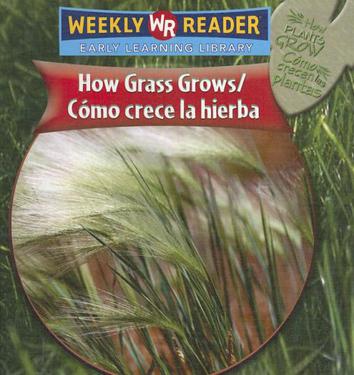 Como Crece la Hierba/How Grass Grows = How Grass Grows