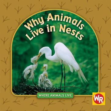 Why Animals Live in Nests