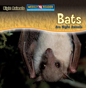 Bats Are Night Animals