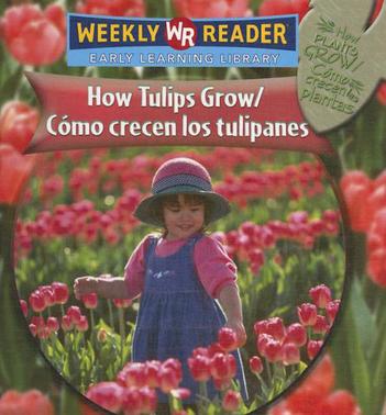 Como Crecen los Tulipanes/How Tulips Grow = How Tulips Grow