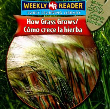 How Grass Grows/Como Crece La Hierba
