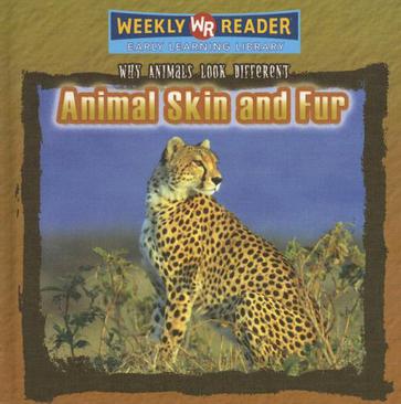 Animal Skin and Fur