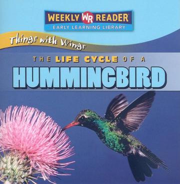 The Life Cycle of a Hummingbird