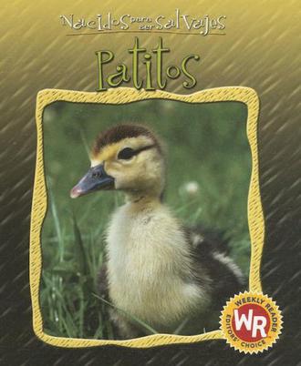 Patitos = Little Ducks