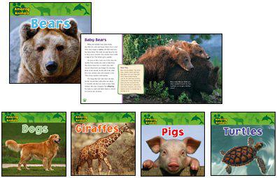 Amazing Animals Complete Series