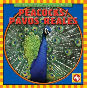 Peacocks/Pavos Reales