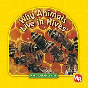 Why Animals Live in Hives