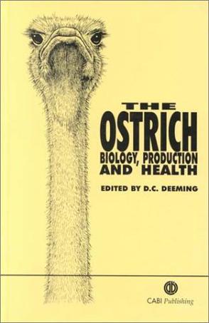 The Ostrich