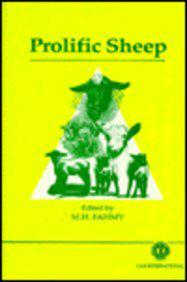 Prolific Sheep