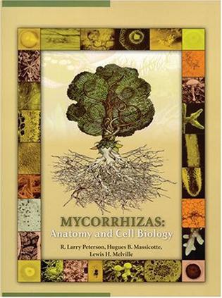 Mycorrhizas