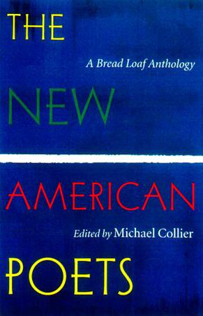 The New American Poets