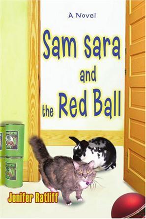 Sam Sara and the Red Ball