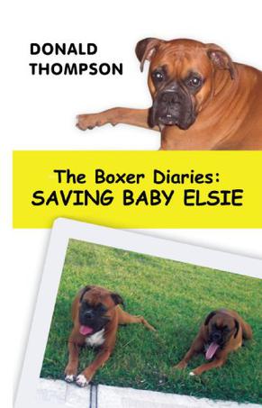 The Boxer Diaries