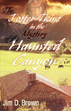 The Foster Twins in the Mystery of the Haunted Canyon
